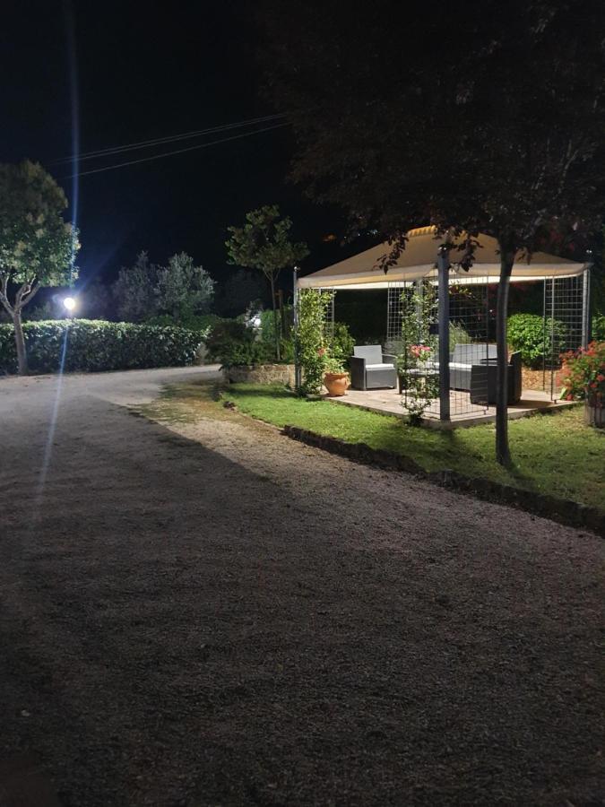 טרני B&B Villa Maria מראה חיצוני תמונה