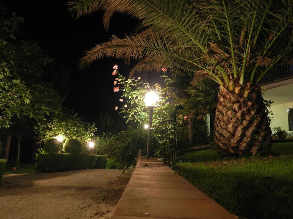 טרני B&B Villa Maria חדר תמונה