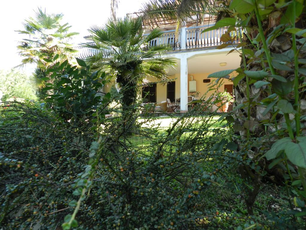 טרני B&B Villa Maria מראה חיצוני תמונה
